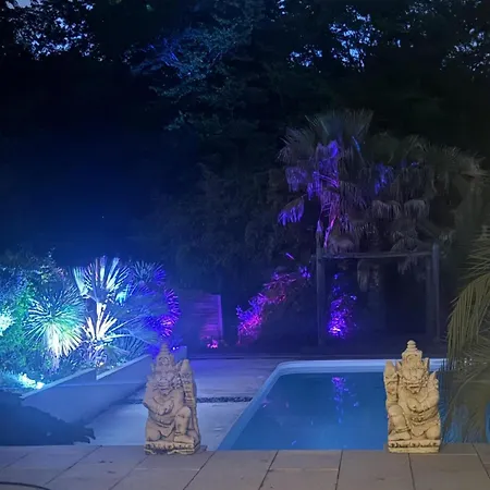 Villa Maison Cote Bordeaux Saint-emilion Piscine Privee 3 *